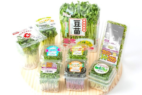 【あの豆苗の会社です／113億円市場を動かす】RPAで物流を自動化◎年収550万円～の「攻める営業事務」