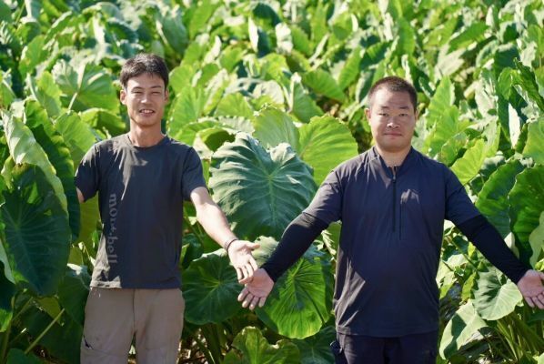 [地域おこし協力隊]
山形県中山町で、すもも・お米・野菜…多品目を経験！技術も販路も生活も、町全体でバックアップ◎
【家賃補助制度あり】