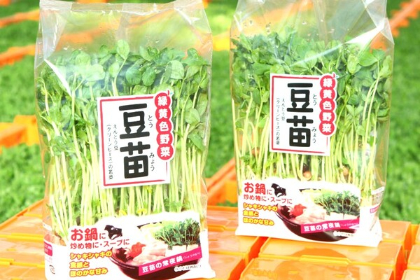 【土日祝休み／賞与年2回】 PC入力だけじゃ物足りないあなたへ。苗の成長も見守る、ちょっとアクティブな生産事務＠福岡