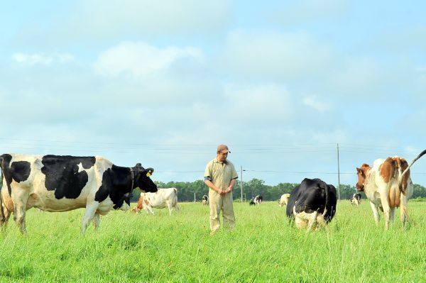 [地域おこし協力隊]
広大な牧草地がフィールド！経営視点で「放牧酪農」に挑み、新しい地域産業を創る協力隊募集。
【未経験OK／家賃補助制度あり】