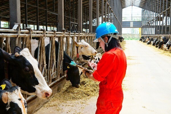 【オリジナルブランド牛を飼養／待遇充実】大規模グループで技術とノウハウを学べる◎4月オープンの牧場でオープニングスタッフ募集！