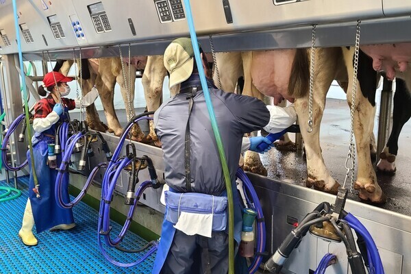 [2027卒対象エントリー]大自然の中でビジネスを学ぶ◎牧場経営の未来を担う幹部候補募集