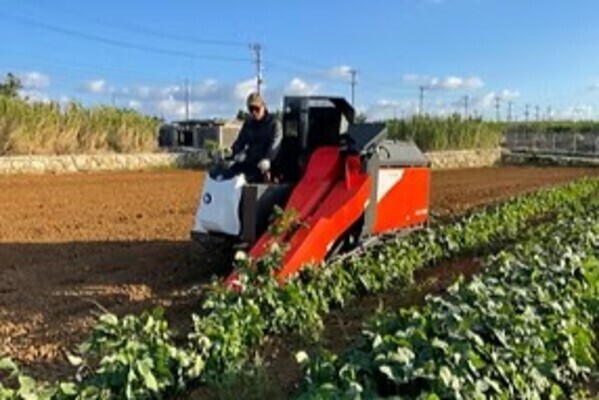 【寮完備／宮古島へ移住サポート】テクノロジーの力で「効率的に稼ぐ」を実現する◎「冬の枝豆」生産スタッフ募集