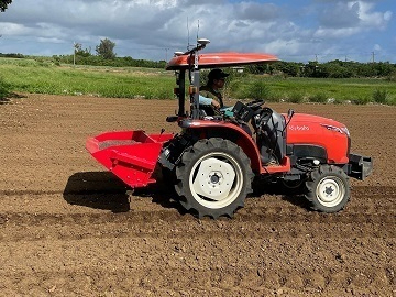 【寮・住宅手当あり】冬の宮古島で半年限定の島暮らしを「お試し」。効率化を極めた枝豆農園で働く短期アルバイト