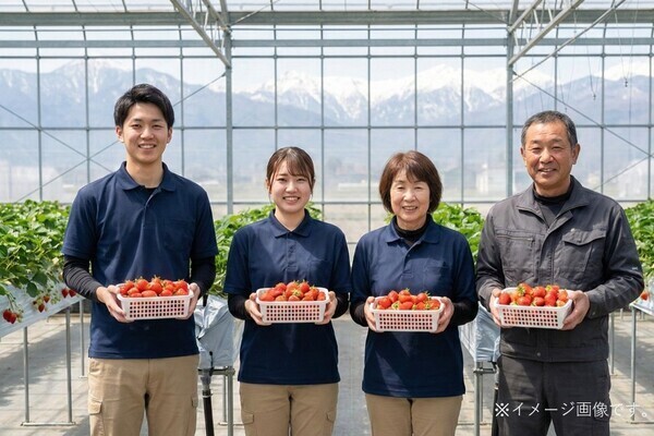 【東証プライム上場G／新規プロジェクト】建設技術で「完熟イチゴ」を科学する。新ブランドの創業メンバーになりませんか？
