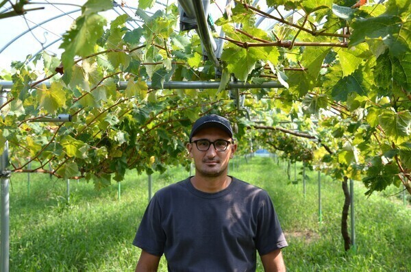 【経験不問】重労働のイメージを覆すスマート農業を実施！流通大手の安定基盤のもと、茨城で学び大分で活躍する大規模ナシ生産。