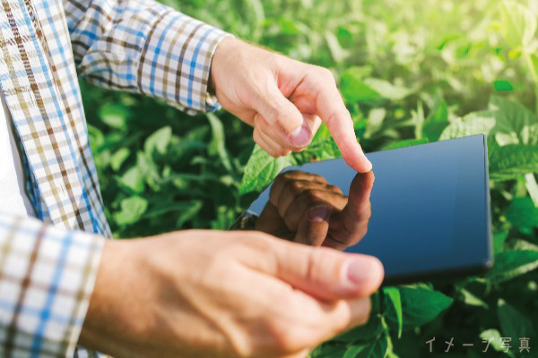 【0→1の事業設計】養豚DXの未来を創るプロダクトオペレーション