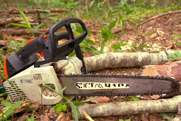 [地域おこし協力隊]
森林率9割以上の町、岩手県岩泉町で林業の担い手募集！
【林業未経験OK】