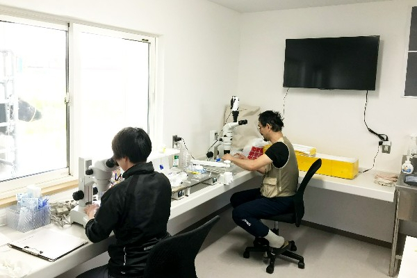 人工授精師・移植師を募集！酪農家さんから預かった牛を育てる育成専門の牧場です。
【手当充実／未経験OK／札幌まで好アクセス】