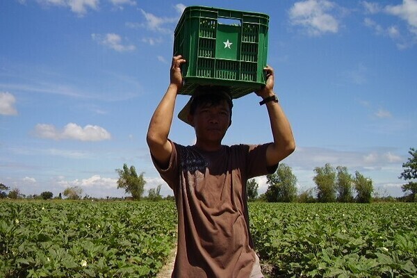 【経営幹部候補／フィリピン移住】食卓の「当たり前」を海外から支える！海外拠点のトップを目指す農業経営
