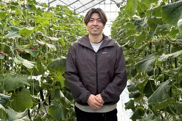 【Wワーク可／週3日～】家庭も仕事も両立可能◎午前中だけのきゅうり栽培アルバイト募集！