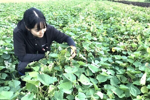 【年間休日120日以上／管理職・一般職同時募集】農業への思いと経験を活かして即戦力に◎農業経営コンサルタントとして営農をサポート（東京・秋葉原）
