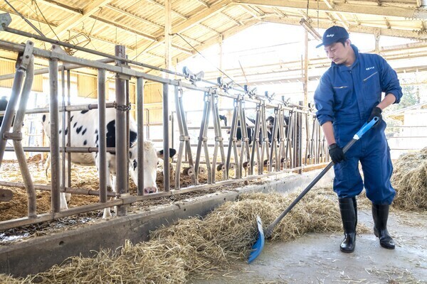【充実の福利厚生／早朝・夕方の勤務】酪農家さんを支える仕事！酪農とちぎ農協の「酪農ヘルパー」として築く安定のキャリア