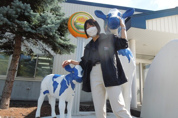 【創業150年の安定感／月2万円の住居手当】千歳の広大な牧場で、先端技術を駆使した酪農を始めよう！