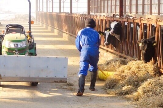 [2027卒対象エントリー]
日本最大級の預託牧場で、「生産部門」と「預託部門」のスタッフを募集！
【きれいな社宅完備／資格取得支援制度あり】