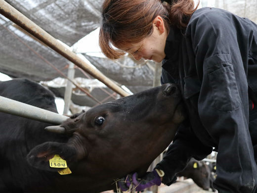 【月給70万円も目指せる専門職】 
獣医師8名があなたの成長をバックアップ。現場を知る「家畜人工授精師」へ成長。