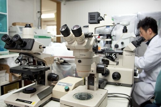 【女性も最前線で活躍】
一粒の受精卵が、最高級の和牛へ。一生モノの「胚培養技術」をゼロから習得。