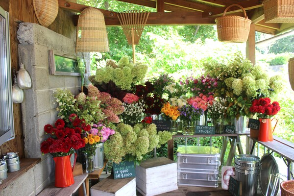 気軽に花がある日常を。八ヶ岳の雄大な自然を活かして花々を育てていきませんか？
【契約社員募集／正社員登用制度あり】