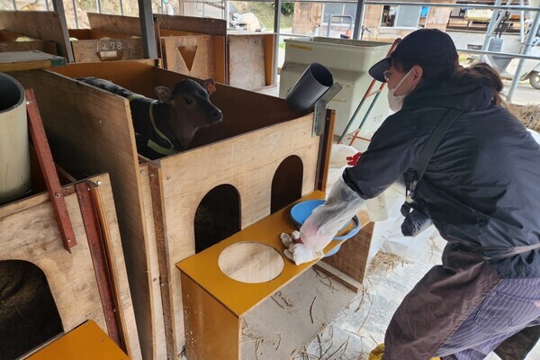 【未経験率90％超】茨城ブランド「花園牛・常陸牛」を育てる牧場で、牛のプロを目指しませんか？