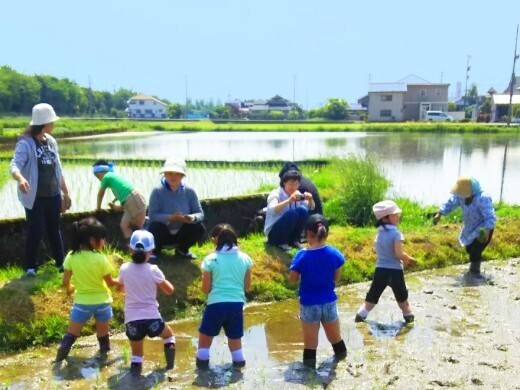 [地域おこし協力隊]
お試し農業体験も大歓迎。人があたたかい富山のまちで農業を一緒に盛り上げませんか？
【家賃負担なし／子育て＆移住支援充実】