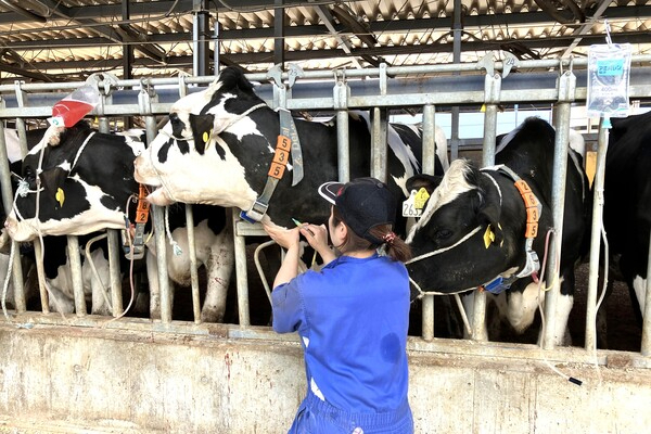 実務経験は不問！地域の酪農家を支える「人工授精師」を募集しています！
【交通費全額支給／年間休日109日～】