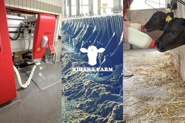 子牛管理とロボット運用を担うリーダー募集！
【引越し費用補助】