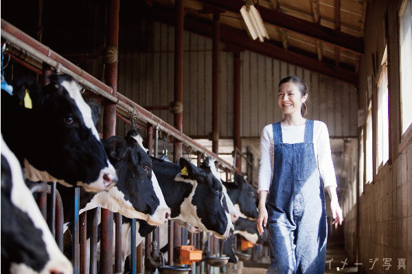 【女性活躍中／賞与年2回】
定時退社でプライベート充実！北海道で仔牛のお世話をする酪農スタッフ