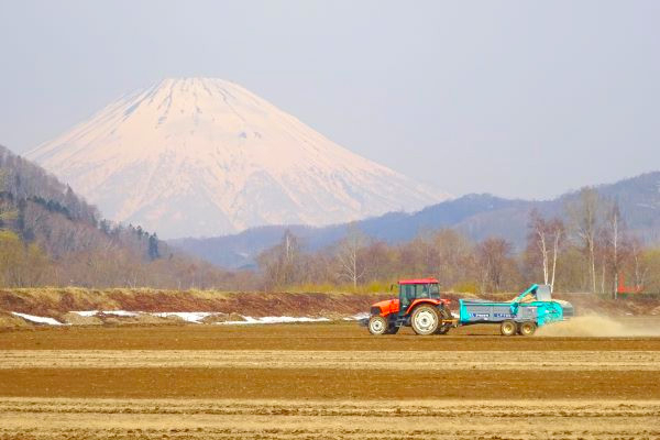 北海道の代表的な作物の栽培から収穫まで。大自然に囲まれながら仲良く働いています！
【個室の寮あり／期間：10月31日まで】