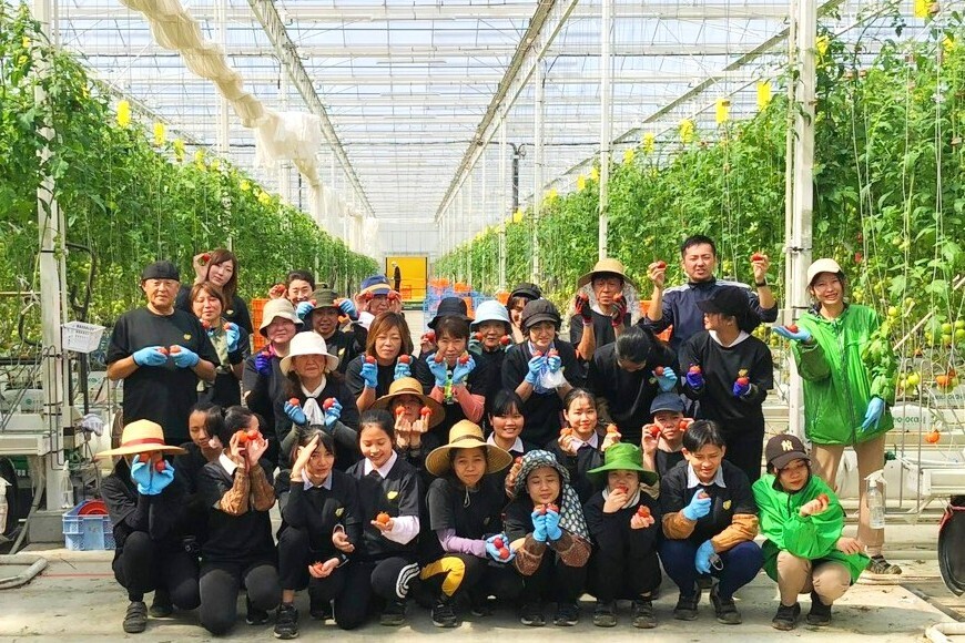 栄養満点のトマトを生産する植物工場ベンチャー！挑戦し続け、規模拡大中。
【データを分析・集積する農作業管理者を募集！】
