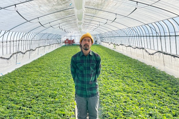 壮大な自然景観に出会えるまち、北海道・壮瞥町でおいしいハウス野菜を育てませんか？
【規模拡大中／AT限定免許OK】