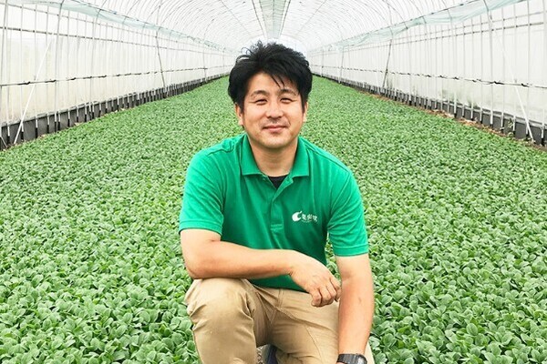 【最先端ベビーリーフ農場】超・効率的な最新農場。サイエンスで育てる次世代の栽培管理
