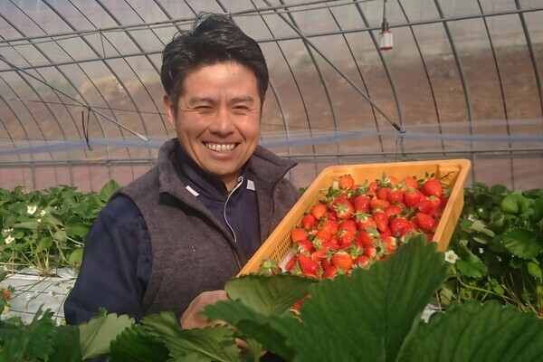 【残業ほぼなし／裁量あり】果樹経験者＆チームを支える未経験者歓迎！いちご・梨などの栽培・観光農園運営