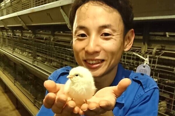 【20～30代活躍／手当充実】スーパーで人気の「食菜卵」の舞台裏を支える仕事！ヒヨコの育成スタッフ募集