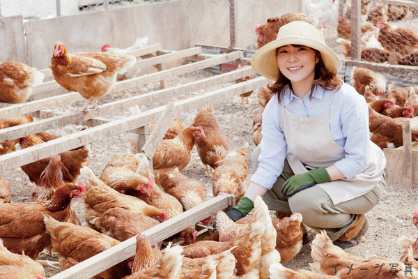 【月給24.7万円～／16時終業】愛知から世界へ！未経験から目指す養鶏場の飼育スタッフ
