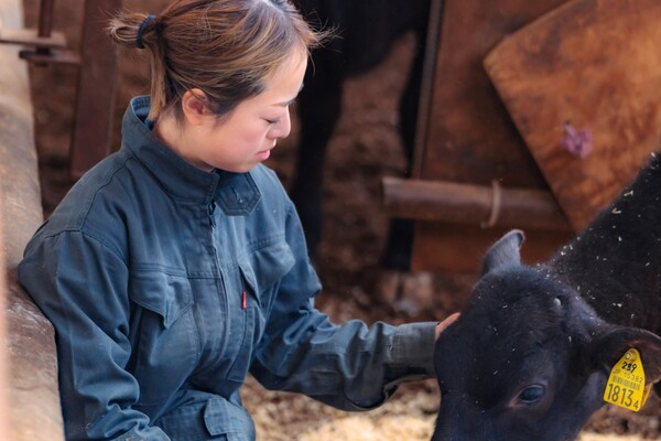 優れた血統と細やかな管理のもと、黒毛和牛「平井牛」を匠の技でじっくり育てています。
【未経験◎スキルアップできる環境／北海道勤務】
