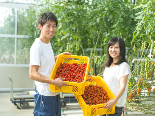 【異業種からの転職が86％】未経験歓迎！次世代農業カンパニーを裏方から支える出荷管理