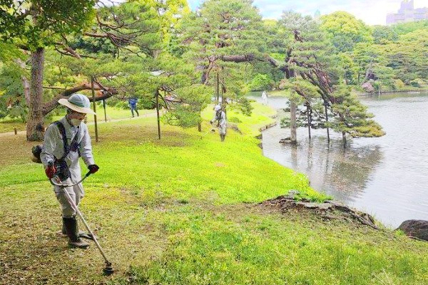 国交省・宮内庁など公共の造園・土木工事を施工。樹木診断の実務も学べます！
【若手活躍／各種手当充実】