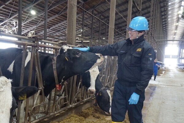 肉牛の繁殖～肥育、酪農まで、グループだからこそできる安定経営。ここだけのブランド牛を育てています。月8休でプライベートも充実。
【安心して働ける制度/人気のふらのエリアでのお仕事/転居費用支援】