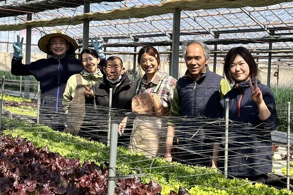 【未経験・Wワーク歓迎】冷暖房完備の快適空間で野菜の荷造り等のお仕事
