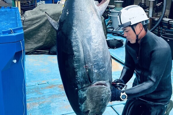 【設立以来定着率100％／チームワーク◎】未経験から沖縄の海で本鮪を育てる！＜県外からの移住大歓迎＞
