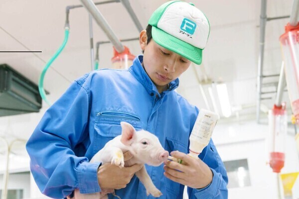 【世界基準の「やまと豚」を育てる安定企業】未経験・移住歓迎！大手の手厚い待遇で養豚に挑戦しませんか？