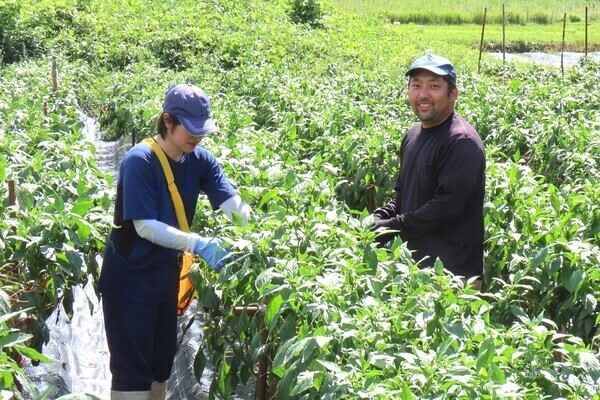 [地域おこし協力隊]【月26.4万円＋活動費で独立準備】島根県吉賀町で水質日本一の清流と共に生きる未経験からの就農＜まずは見学からでOK！＞