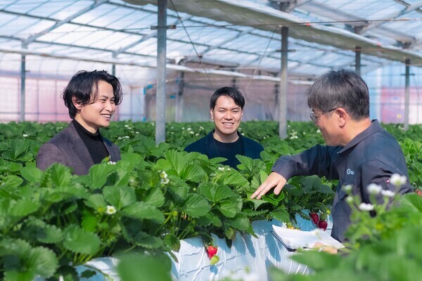 【気候変動から農業を救う次世代イチゴ】生産パートナー向けの普及営業・サクセスマネージャー候補＜フレックス／週休2日＞