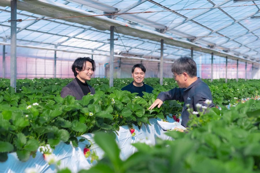 【10年の育種を2年で実現！普及部門を牽引するリーダー】次世代イチゴの栽培手法を確立する研究員＜フレックスタイム制／週休2日＞