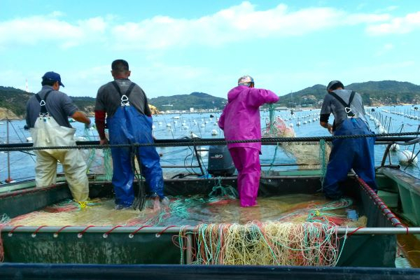 世界中から注目される「アートの島」直島で島暮らしを満喫しませんか？
【寮費無料／昼食付き／正社員登用あり】