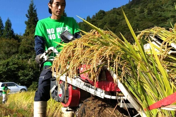 【家賃半額補助・移住手当あり】平均年齢28歳！みんなで意見を出し合い進める「省力化×チーム農法」の米作り