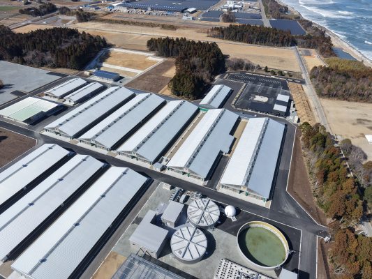 シャインコースト株式会社