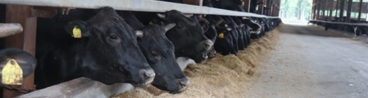 株式会社松永牧場