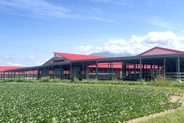 有限会社藤井牧場