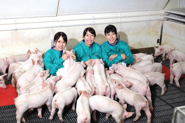 株式会社林牧場